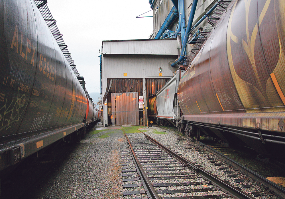 Canadian Pacific Railway saw fourth-quarter freight revenues from shipping grain increase by five percent.  |  File photo