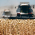 Reports last week of significant purchases of American grain may mean that Russia is running out of exportable wheat. Here, a wheat field was harvested last summer in the Stavropol region of southern Russia. | REUTERS/Eduard Korniyenko photo