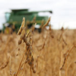 Pending the release of United States Department of Agriculture (USDA) reports on Feb. 8, trading on the Chicago Board of Trade (CBOT) has remained quiet, according to one broker, who was cautious about U.S. soybean sales to China. | File photo