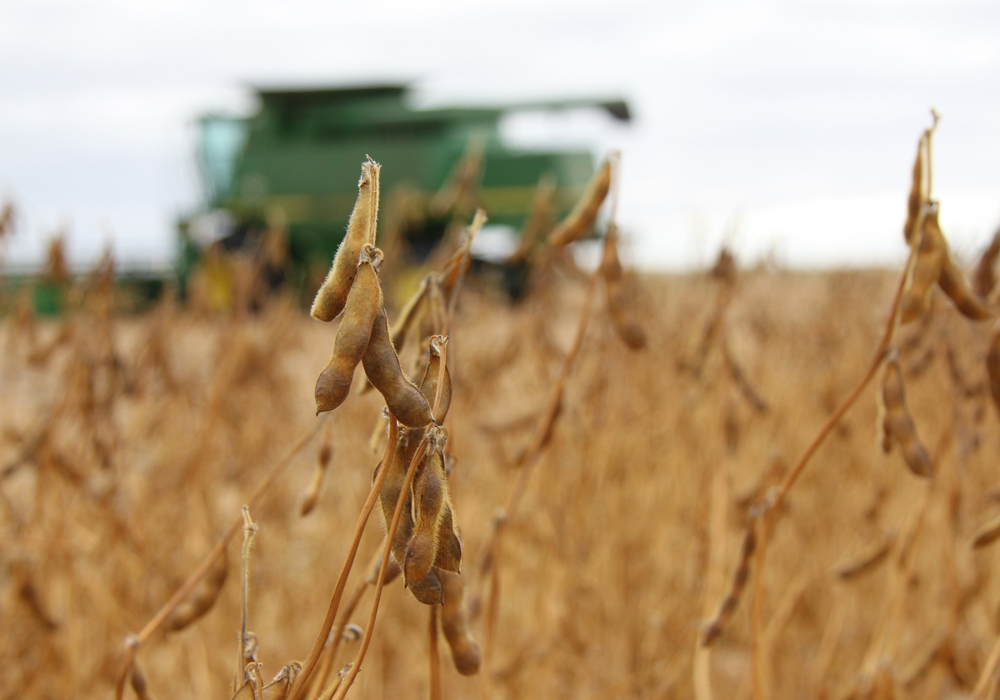 Pending the release of United States Department of Agriculture (USDA) reports on Feb. 8, trading on the Chicago Board of Trade (CBOT) has remained quiet, according to one broker, who was cautious about U.S. soybean sales to China. | File photo