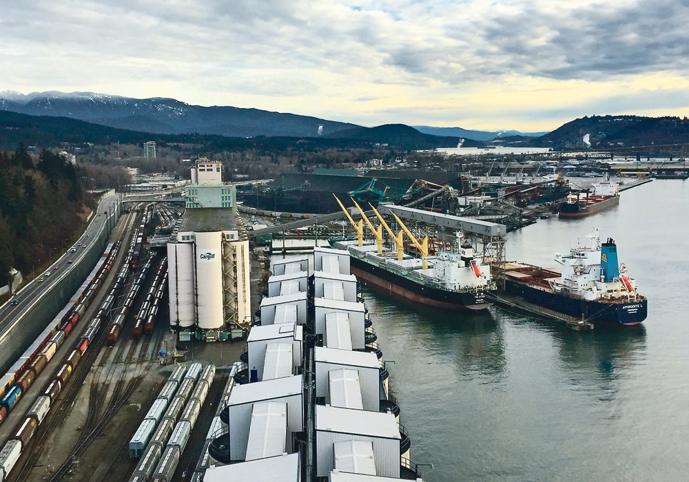 China’s purchases of Canadian canola have been a bright spot in an otherwise lacklustre shipping season, driven by lower imports from the United Arab Emirates, Mexico and Pakistan.  |  Brian Cross photo