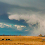 Spring showers celebrate the nature and promise of next-year country. | Michael Raine photo