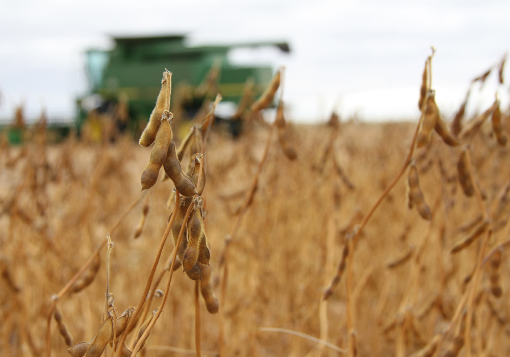 China has proposed buying additional U.S. services and goods, including soybeans and energy products, people familiar with the talks have said. | File photo