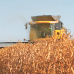 The processor will require 125,000 tonnes of yellow peas annually once it reaches full capacity. | File photo