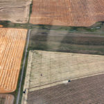 Farmers who are thinking about selling the farm should start by considering what they want to do with the money. | File photo