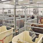 Researchers are conducting their work into sulfate levels in water at the University of Saskatchewan’s Livestock and Forage Centre of Excellence. | University of Saskatchewan photo