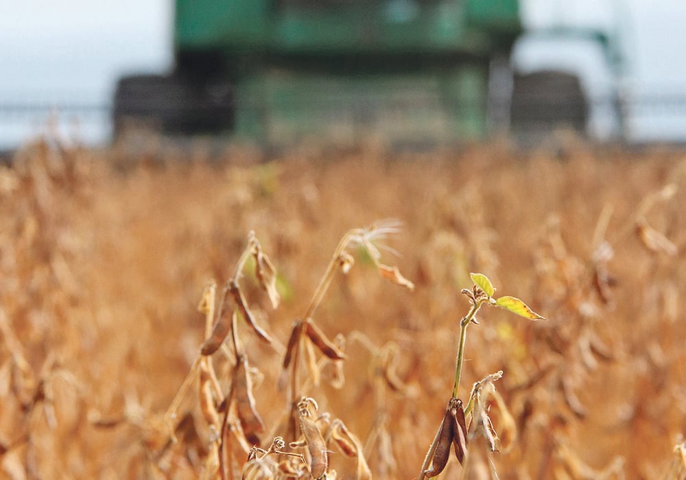 The latest regulatory hurdle means widespread sales of the soybean variety may be delayed in the United States until 2020, but the company plans to go ahead in Canada.  |  File photo