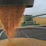 Wheat bids in Western Canada were down for the week ended Feb. 22, as the Canadian dollar gained ground during the week and United States futures dropped. | File photo