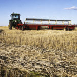 Wheat headed lower as international markets appeared to be more robust than many analysts had thought. Even hard red spring types were under pressure as American exports ran into heavy competition from the European Union and Russia. | File photo