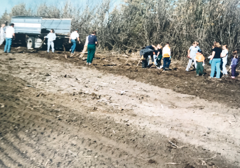 Traditions of hard work continue for the Cey clan as the children and grandchildren of Bill and Ethel Cey pick old tree roots and plant new evergreens in a shelter belt in 2005.  | Cey family photo