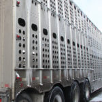 A survey to learn about animal welfare concerns related to livestock in transport has been launched by the National Farm Animal Care Council. | File photo