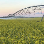 Irrigation specialists say new pipes and pivots through efficiency programs are helping southern Alberta producers lower costs and conserve more water. | File photo