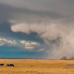The weather in April will have a far greater effect on the markets according to one analyst. | File photo