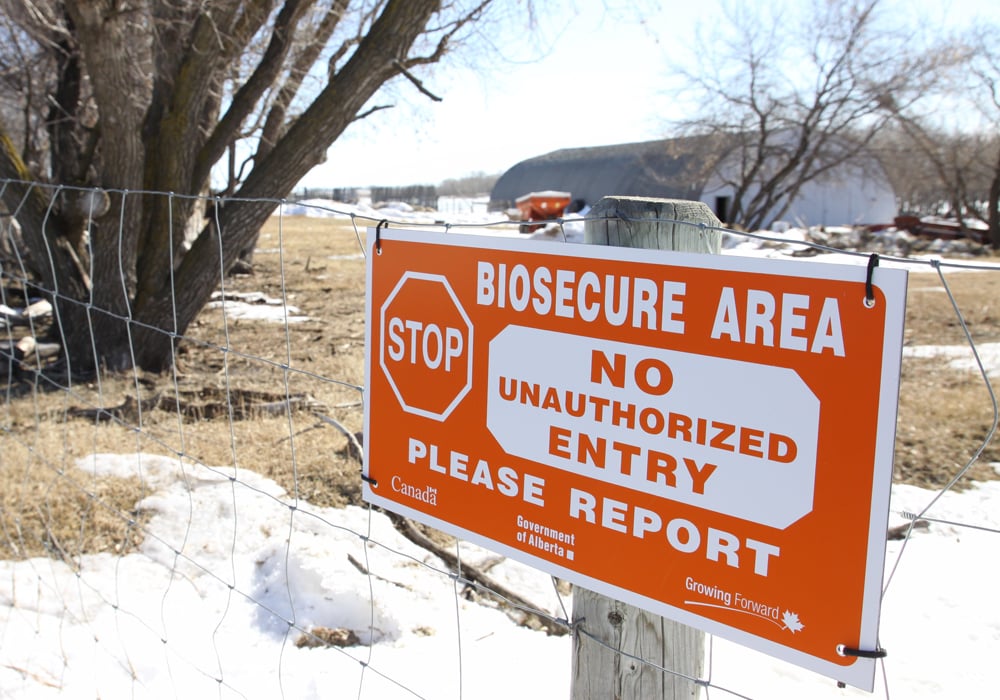 A strong offence is an effective defence to stop the spread of infectious diseases in horses, says a leading veterinarian, and that includes an on-farm biosecurity program.  | File photo