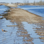The Manitoba government and the United States National Weather Service have both predicted increased risk of flooding on the Red River in 2019.
| File photo