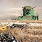 Nearby Canadian canola sales to China might be disrupted by the evolving dispute between the countries, but importers say it also comes with a cost to China and will likely be eventually resolved. | File photo