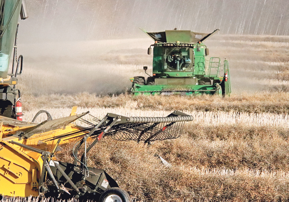 Nearby Canadian canola sales to China might be disrupted by the evolving dispute between the countries, but importers say it also comes with a cost to China and will likely be eventually resolved.  |  File photo 