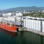As of late March 11, only Richardson had reported losing its China import licence, but other grain companies and exporters had reported sales bogging down for a few months.
| File photo
