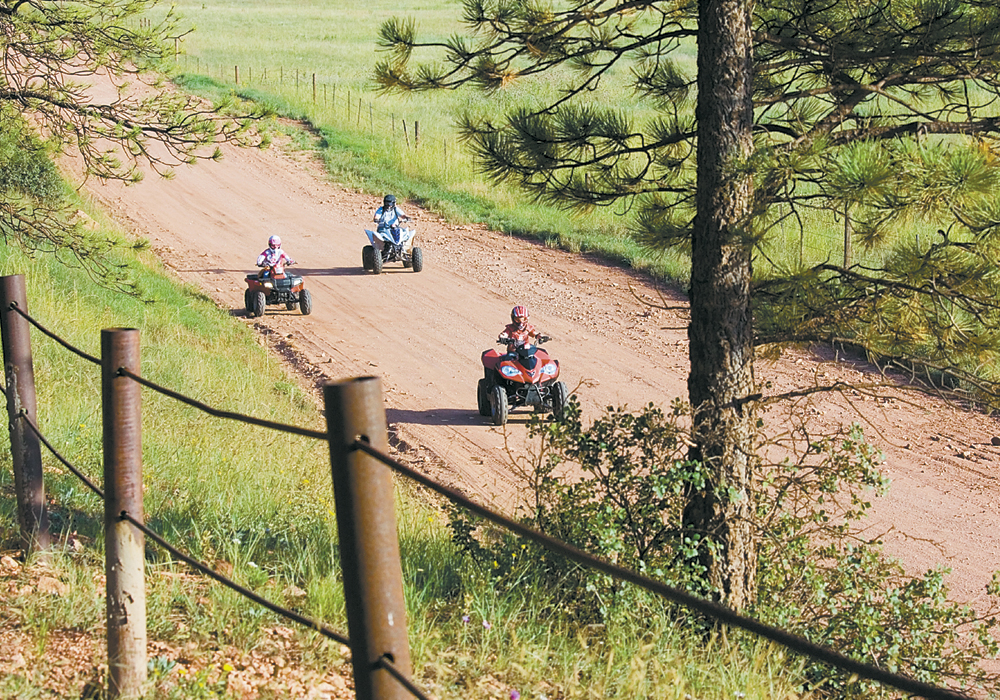 The UCP pledges to bolster funding for grazing and recreation management, as well as introduce user fees for OHV (off-highway vehicle) riders and random campers, which NDP Environment and Parks Minister Shannon Phillips said she mostly agreed on. | File photo
