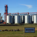 There was no disagreement among committee members that the revocation of Richardson's export licence to sell canola into China is a matter of concern to all Canadians. | File photo