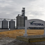 Viterra is the second canola exporter to have its registration cancelled, after Beijing halted shipments from top exporter Richardson International earlier this month. | File photo