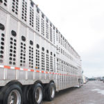 Disappointment and frustration over Canada’s new livestock transportation regulations came out loud and clear at the Canadian Cattlemen’s Association annual meeting. | File photo
