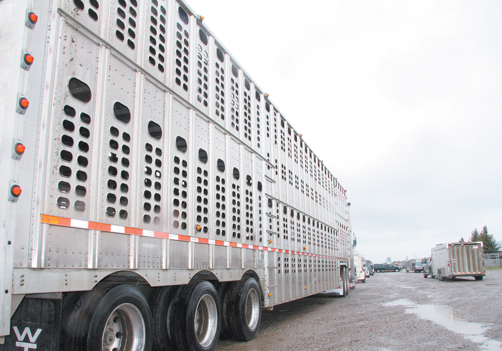 Disappointment and frustration over Canada’s new livestock transportation regulations came out loud and clear at the Canadian Cattlemen’s Association annual meeting. | File photo