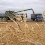 The budget assumes crop production in 2019 similar to last year when the third largest crop on record, 35.4 million tonnes, was harvested even in dry conditions. | File photo