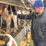 The proposed funding would compensate supply managed farmers for increased imports negotiated in recent trade agreements. Here, dairy farmer Henry Holtmann milks cattle on his farm near Rosser, Man., last fall. | REUTERS/Rod Nickel photo
