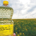 Gerry Ritz has spoken to an official with one of Canada's major canola crushers who told him they can't unload a tanker full of oil. | File photo