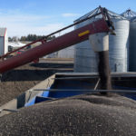 When he meets today with Federal Agriculture Minister Marie-Claude Bibeau and Trade Minister Jim Carr, Saskatchewan Agriculture Minister David Marit is expected to unveil a plan that will provide temporary financial assistance to the province's canola producers, who are coping with declining canola prices in the wake of a Chinese ban on Canadian canola seed exports. | File photo