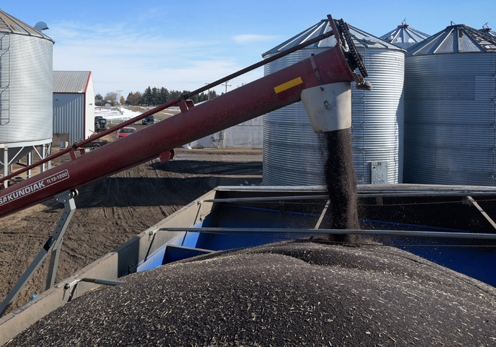 When he meets today with Federal Agriculture Minister Marie-Claude Bibeau and Trade Minister Jim Carr, Saskatchewan Agriculture Minister David Marit is expected to unveil a plan that will provide temporary financial assistance to the province's canola producers, who are coping with declining canola prices in the wake of a Chinese ban on Canadian canola seed exports. | File photo