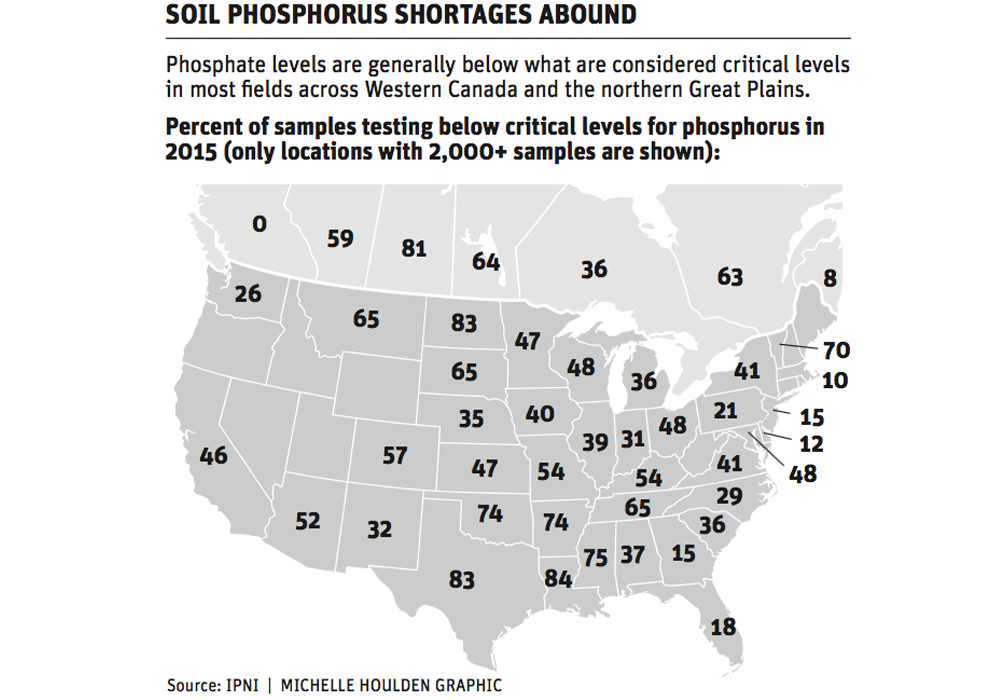Phosphorus shortages not OK