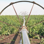 The recent transfers include five-year funding arrangements through the irrigation infrastructure rehabilitation program. | File photo