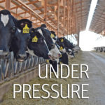 The news team of Barb Glen, Robert Arnason and Ed White won first place in the Special Projects category for a special report on supply management. Journalism in this category “takes reporting to a higher level,” demonstrating “careful planning and enterprise.”| File photo