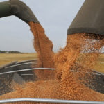 The top executive at Cereals Canada is reassuring the country’s growers that exports of Canadian wheat and barley to China have not been affected by the recent diplomatic and trade issues that have hit canola.
| File photo