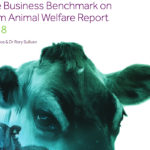 The Business Benchmark on Farm Animal Welfare assessed 150 companies in 23 countries and found in its seventh report that three quarters of those evaluated had shown improvement. The benchmark group is an independent body assessing farm animal welfare management and receives funding from Compassion in World Farming and World Animal Protection.
| Screencap via bbfaw.com