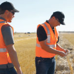 PAMI engineers Zach Kendel, left, and Joel McDonald check a swath that is scheduled to run through the PAMI combine calibration processor. In his recent presentation to the Combine College in Brandon, McDonald told growers that bushels per hour is a more significant factor than acres per hour. | PAMI photo