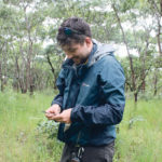 Luke Dunning, a postdoctoral research associate with the University of Sheffield’s animal and plant sciences department, collects grasses in Tanzania. | University of Sheffield photo