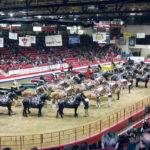 Ten hitches competed in the heavy horse show at the Royal Manitoba Winter Fair in Brandon in 2006. This year there were two. | Lynn Christison photo