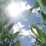 The Prairies are less cold and there are about five more frost-free days in the growing season, said agrometeorologist Brian Amiro of the University of Manitoba. | File photo