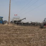 Canadian farmers will likely seed less canola and more spring wheat in 2019, but the extent of any acreage shifts remains to be seen as market participants await Statistics Canada's first seeded area estimates of the year on April 24. | File photo