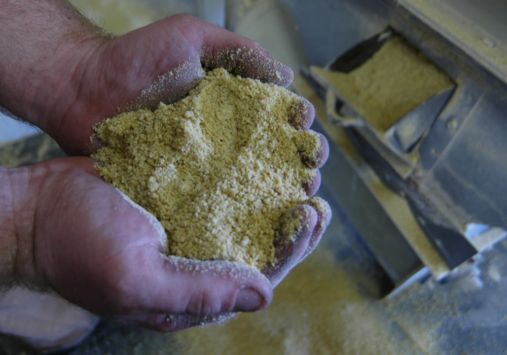 China is the No. 1 buyer of Argentine soybeans but does not import any of its higher-margin processed meal, which could be used to help feed the world's biggest hog heard as consumers in the country shift toward a diet of meal-fed pork and poultry. | File photo