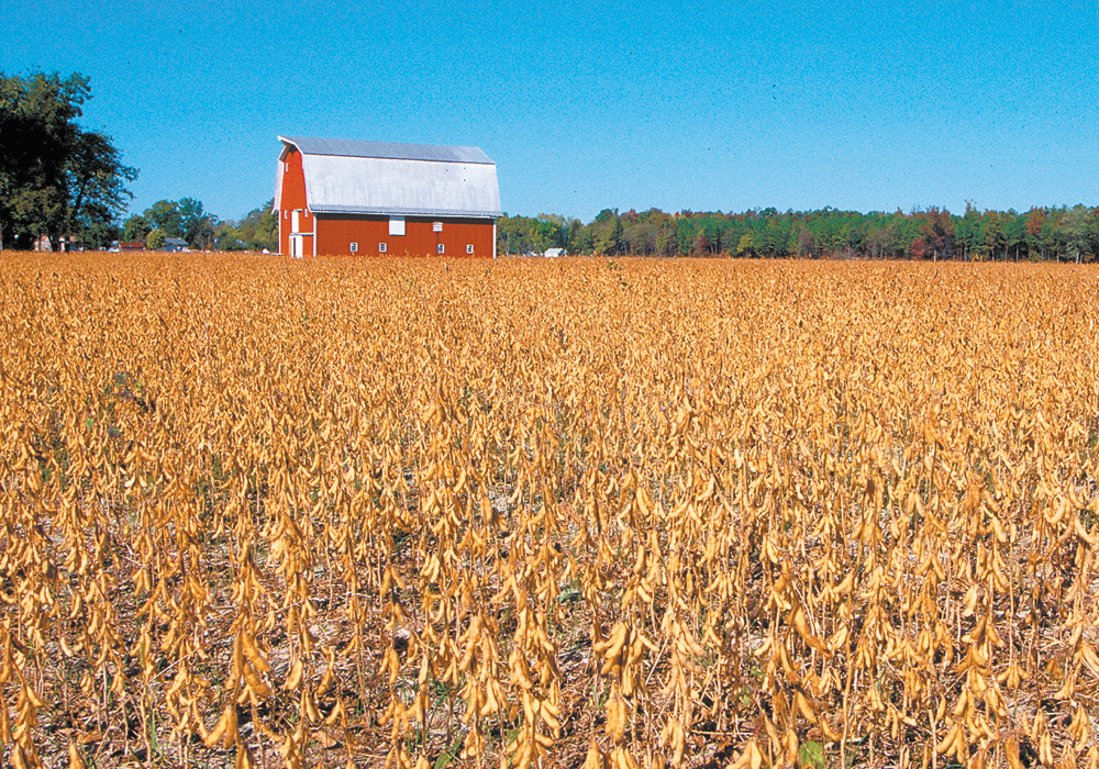 China, the world's biggest soybean buyer, imported 1.51 million tonnes of soybeans from the United States in March, data from the General Administration of Customs released on Thursday showed, up from February's shipments of 907,7545 tonnes. | USDA photo