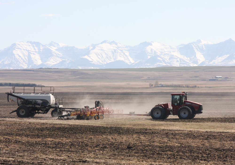 ICE Futures canola prices fell to their lowest levels since 2014 during the week ended May 1, as bearish technical signals and a lack of progress on trade relations with China weighed on values. | File photo