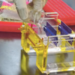 DNA sequences include a gene that invites disease into the plant. If breeders can find that gene and remove it from the DNA sequence, that plant will no longer invite disease to visit. It all happens in the lab. | SV Fisk photo