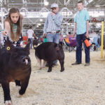 World Pork Expo is held each June in Des Moines, Iowa, hosting about 20,000 visitors over three days, including individuals and exhibitors from parts of the world where African swine fever has been found. | File photo