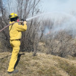 A firefighter from the Delisle and District Volunteer Fire Department works to extinguish a fast-moving brush fire. | Paul Yanko photo