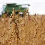 Chicago Board of Trade soybean and corn futures plummeted to new contract lows on Monday - with soy plunging to the lowest levels seen in nearly eight months - after U.S. President Donald Trump said he would raise tariffs on Chinese goods this week. | File photo