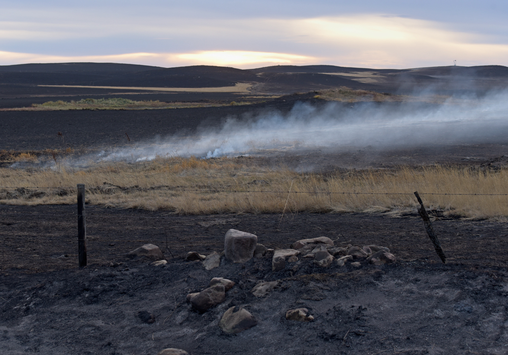 In the event of emergencies or natural disasters, livestock producers should have a plan to mitigate losses to their family and business. | File photo